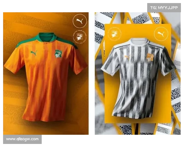 非洲冠军:大陆足球之光与荣耀 非洲冠军:大陆足球之光与荣耀