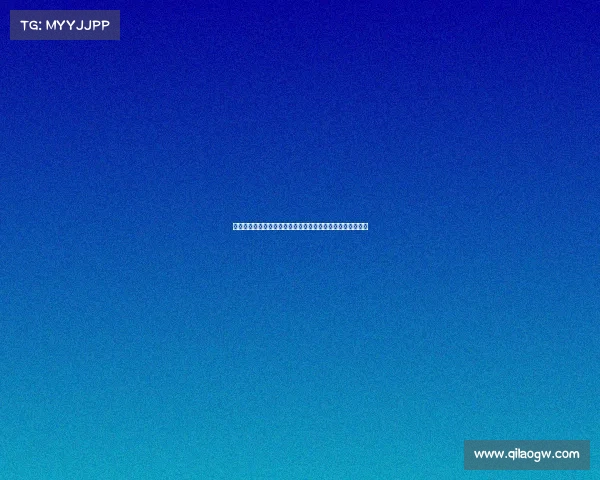 法甲球队如何通过自由转会打造强大阵容分析与未来趋势探讨